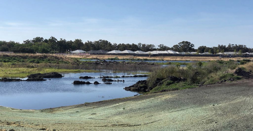 A typical ‘business as usual’ housing development in a high ground-water area at Baldivis, Western Australia. Image: supplied