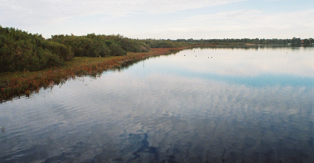 Bibra Lake in Beeliar regional park, Perth. Image: Brettanomyces, Flickr CC2.0