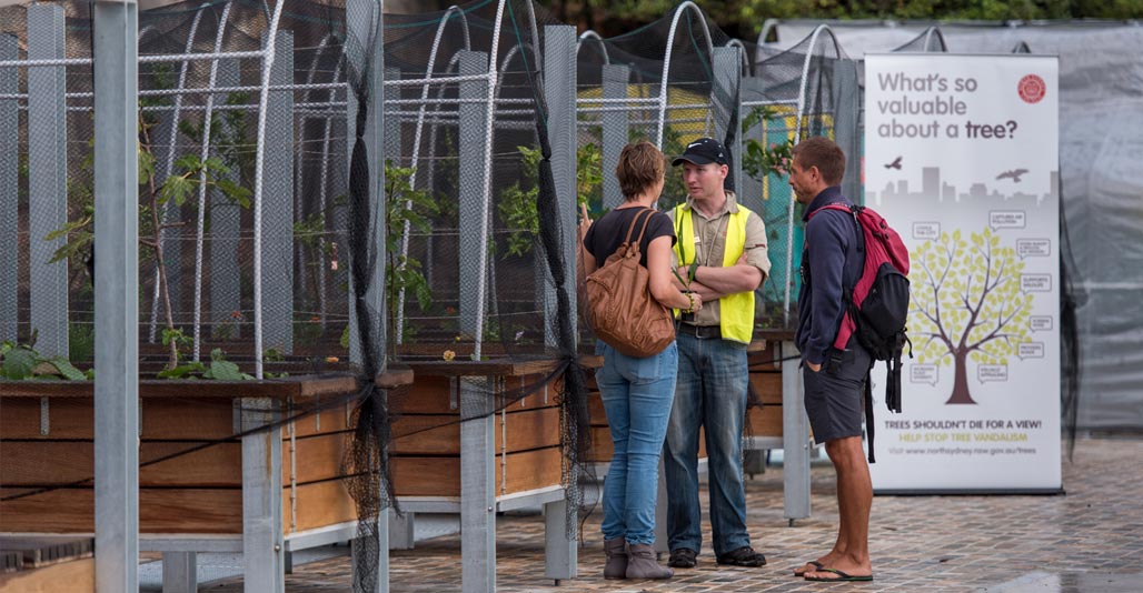 The site incorporates community features such as these vegetable plots. Image: Diana Shypula