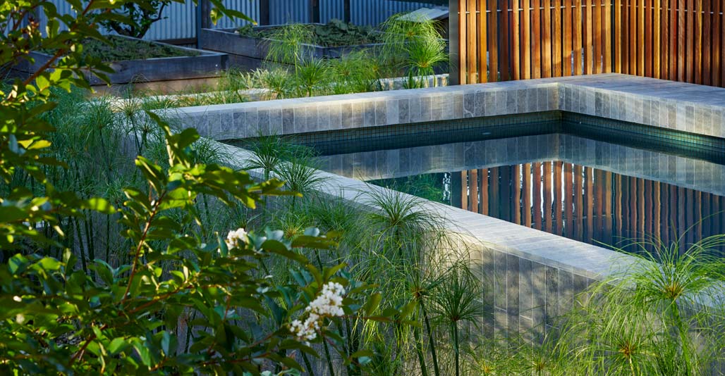 Gardens: Maylands Residence by Wax Design. Image: Sam Noonan