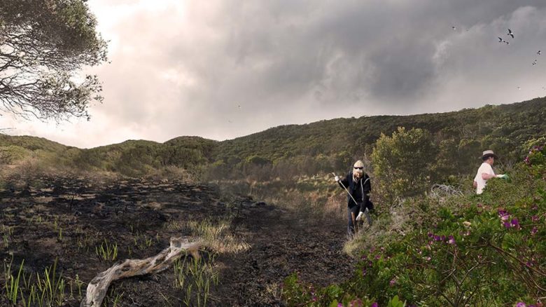 Cultural heritage award of excellence: Point Nepean National Park Master Plan by Taylor Cullity Lethlean and Parks Victoria.