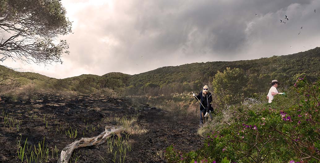 Cultural heritage award of excellence: Point Nepean National Park Master Plan by Taylor Cullity Lethlean and Parks Victoria.