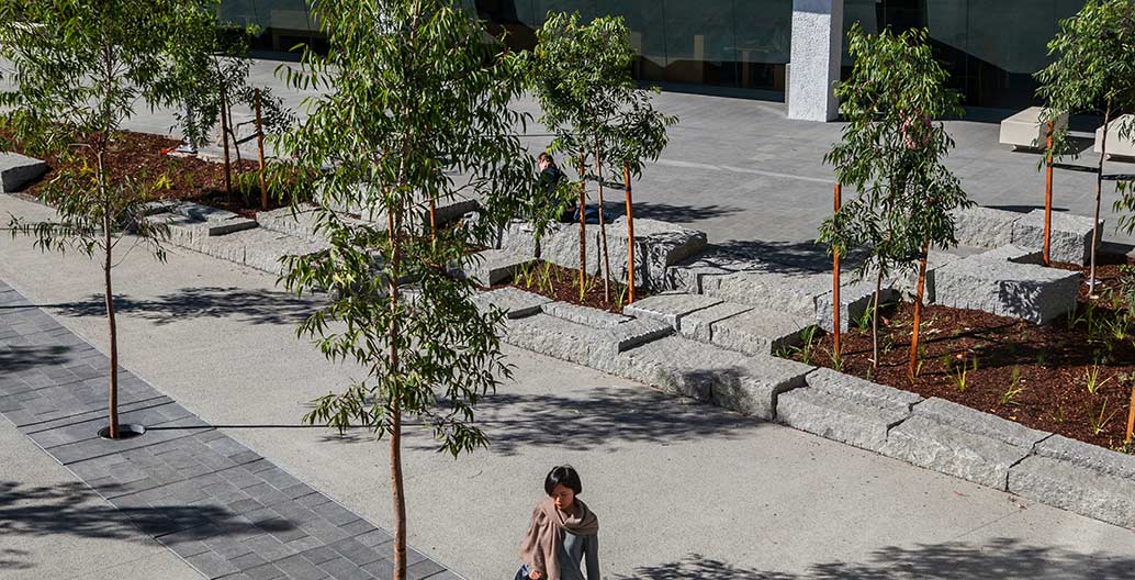 Civic landscape landscape architecture award: MADA West Courtyard by Glas Landscape Architects.
