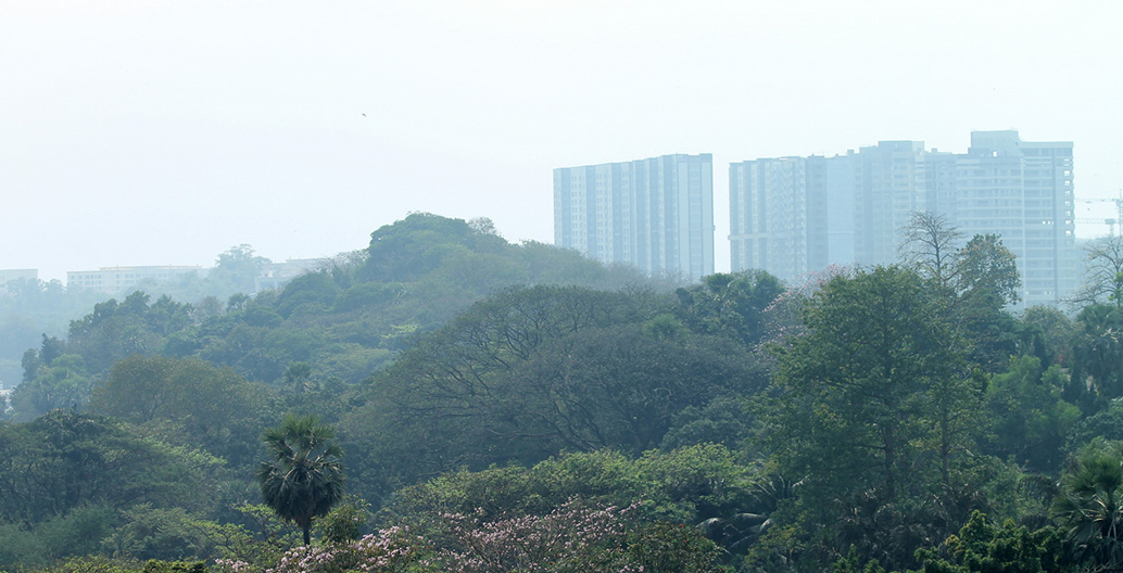 Many of the world’s fastest growing cities, such as Mumbai, are located within the tropics. Image: Don Chili