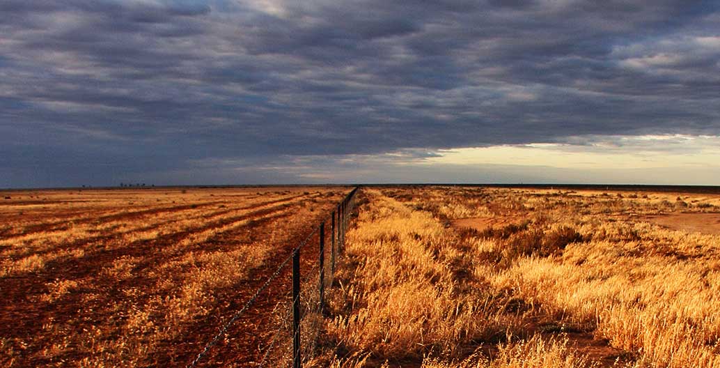 Drought on the Hay Plain, NSW. Image: Tim J Keegan