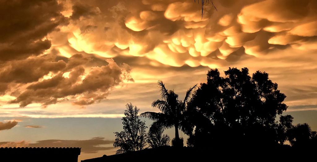 Tropical cities face distinct challenges and great opportunities Image: James Finney