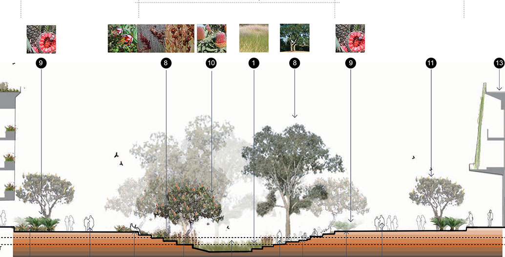The Living Knowledge Stream for Curtin University. Render by Syrinx Environmental.