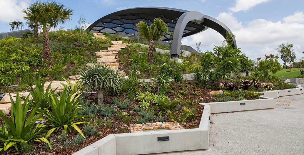 HOTA planting detail. Image: Aaron Poupard