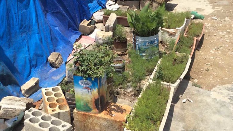 One year after... the International Operative Landscape Workshop, in the Al Tyliani Informal Settlement, Lebanon