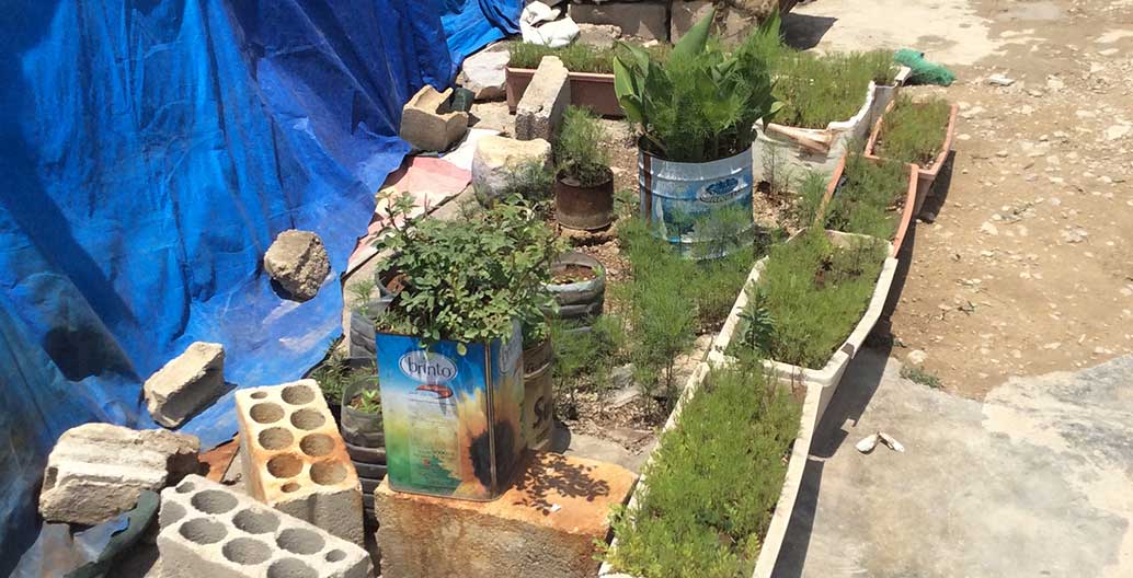One year after... the International Operative Landscape Workshop, in the Al Tyliani Informal Settlement, Lebanon