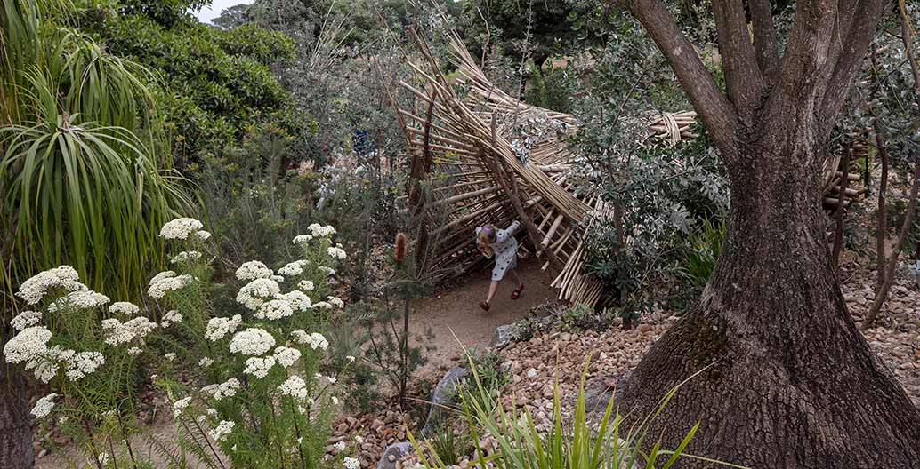 Ian Potter Children's WILDPLAY Garden. Image: Brett Boardman.