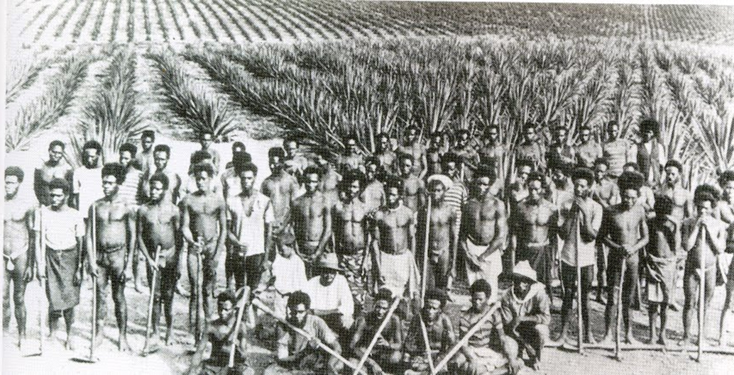 'Kanakas' or Melanesian indentured labourers were the backbone of early settlement in the top end.