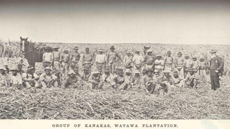 'Kanakas' or Melanesian indentured labourers were the backbone of early settlement in the top end.