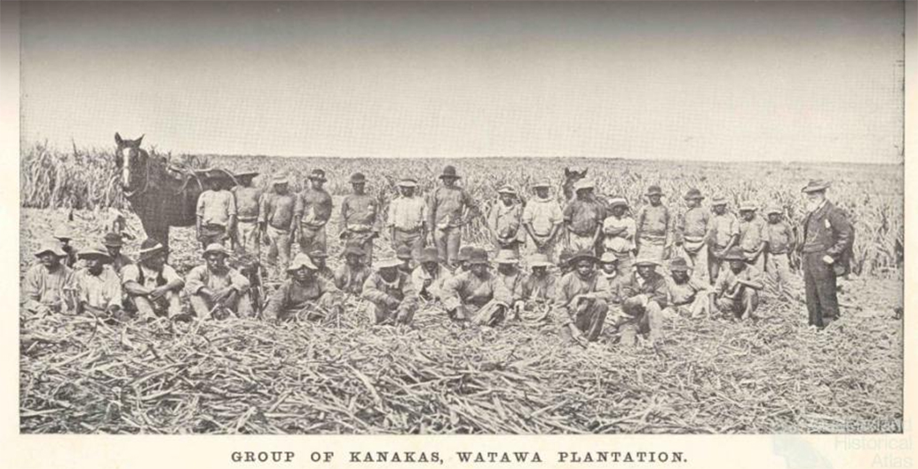 'Kanakas' or Melanesian indentured labourers were the backbone of early settlement in the top end.