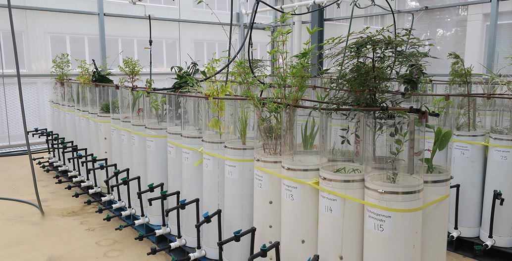 Monash University Civil Engineering Hydraulics Living Lab. Image: Aspect.