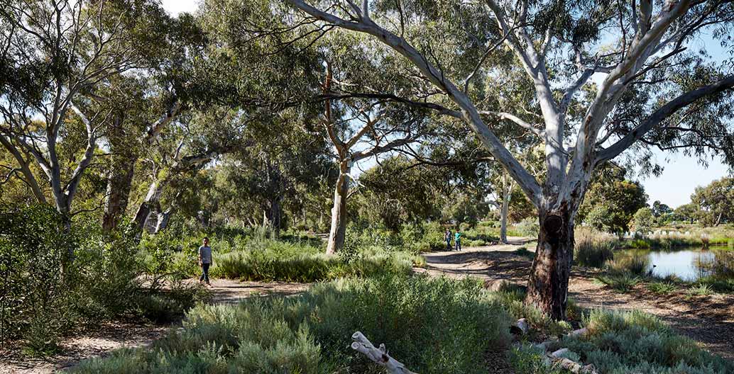 Oaklands Park and Wetland. Image: Sam Noonan.