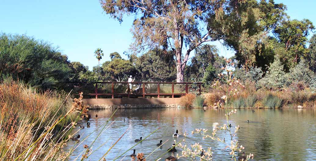 Oaklands Park and Wetland. Image: Sam Noonan.