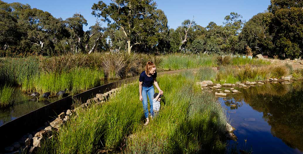 Oaklands Park and Wetland. Image: Sam Noonan.
