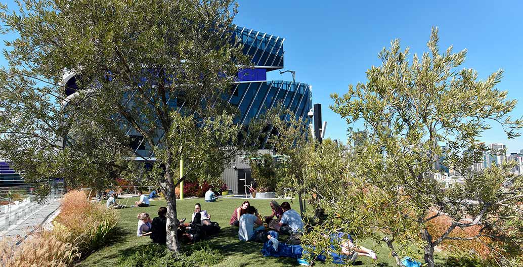 Victoria Comprehensive Cancer Centre. Image: John Gollings.