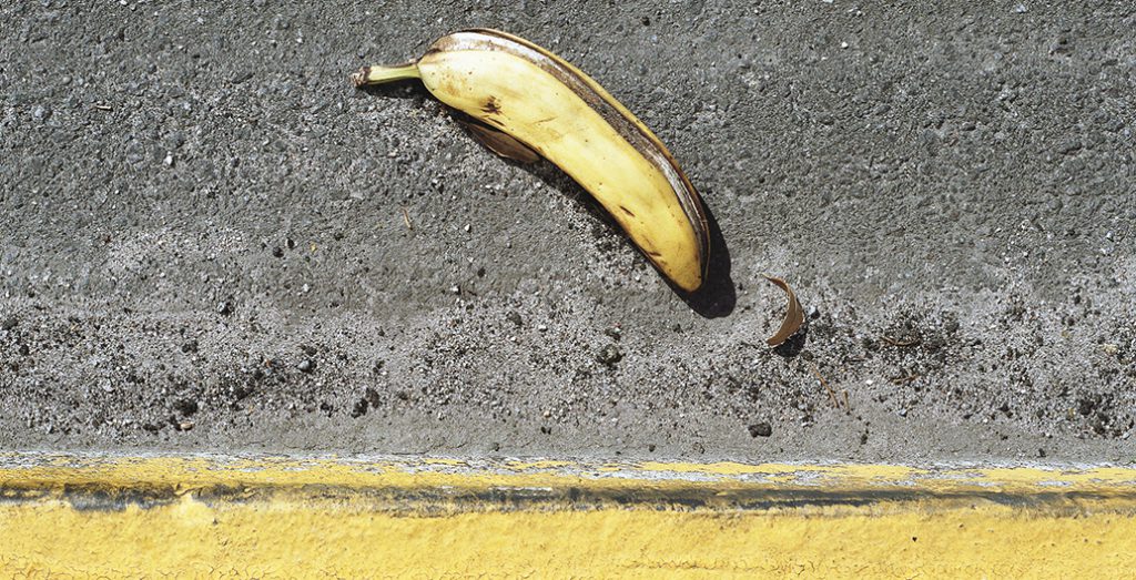 The tropics – fertile paradise or a place of brutality and decay? Image: Colin Czerwinski