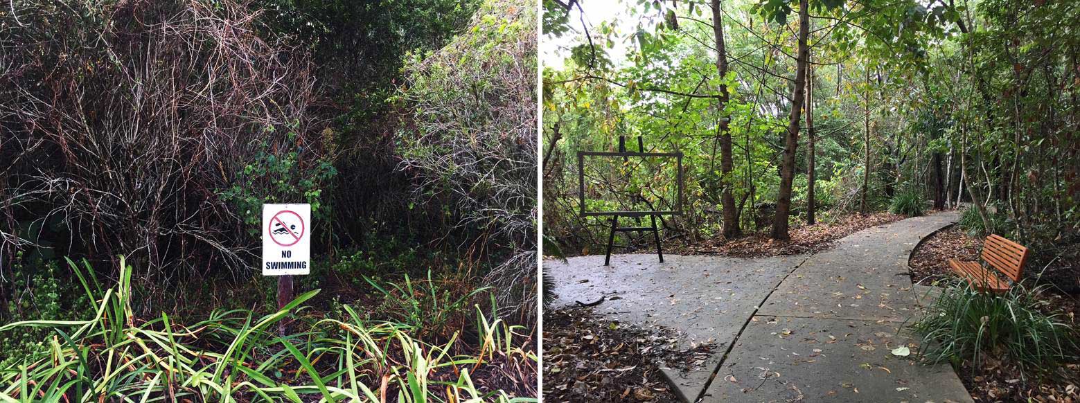 Overground vegetation in bioretention basin and surrounding urban recreational space, Smithfield Village, Cairns Image: Han She Lim