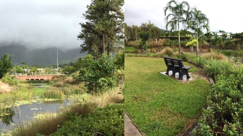 Engineered wetland-creeks provide stormwater retention and filtration, Smithfield Village, Cairns Image: Han She Lim