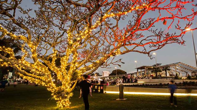 Nightime occupation of the Parklands has changed Image: Cairns Regional Council