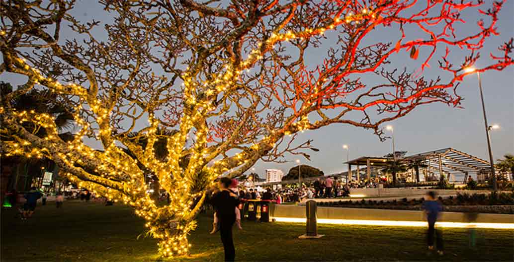 Nightime occupation of the Parklands has changed Image: Cairns Regional Council