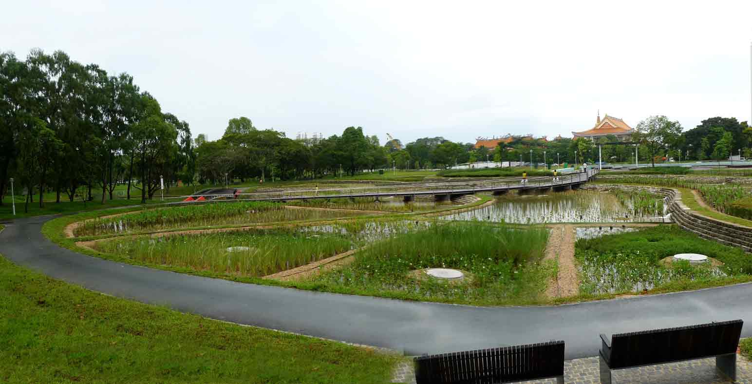 Singapore leads in tropical water management. Here, cleansing biotopes at Bishan Park Image: Ppagodashophouse