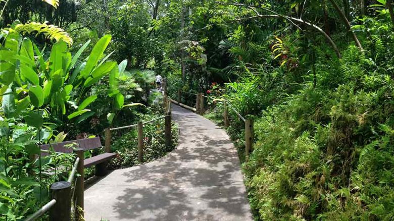 Tropical botanic gardens could play an important role in tropical urban development Image: Alaska Dave