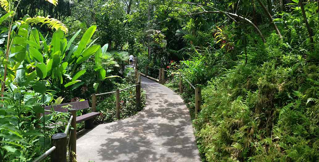 Tropical botanic gardens could play an important role in tropical urban development Image: Alaska Dave
