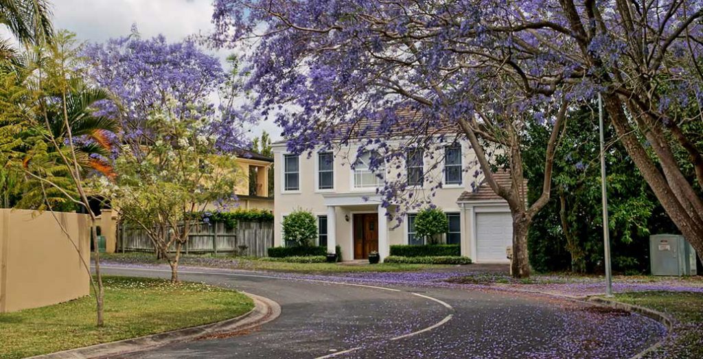 Housing in suburbia, Brisbane. Image: Tatiana Gerus