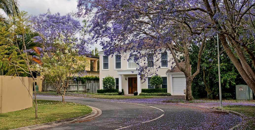 Housing in suburbia, Brisbane. Image: Tatiana Gerus