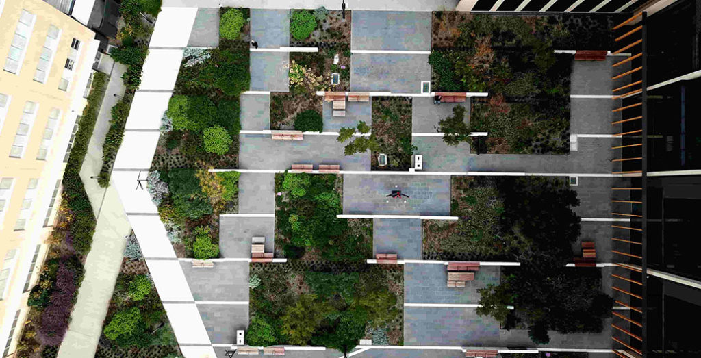 A tapestry of richly varied planting is distributed around and between Bendigo Hospital seating.