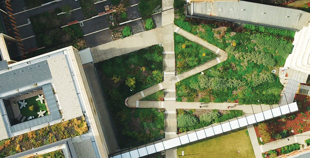 A view of Bendigo Hospital from above shows some of the diverse courtyard, rooftop, and pocket gardens.