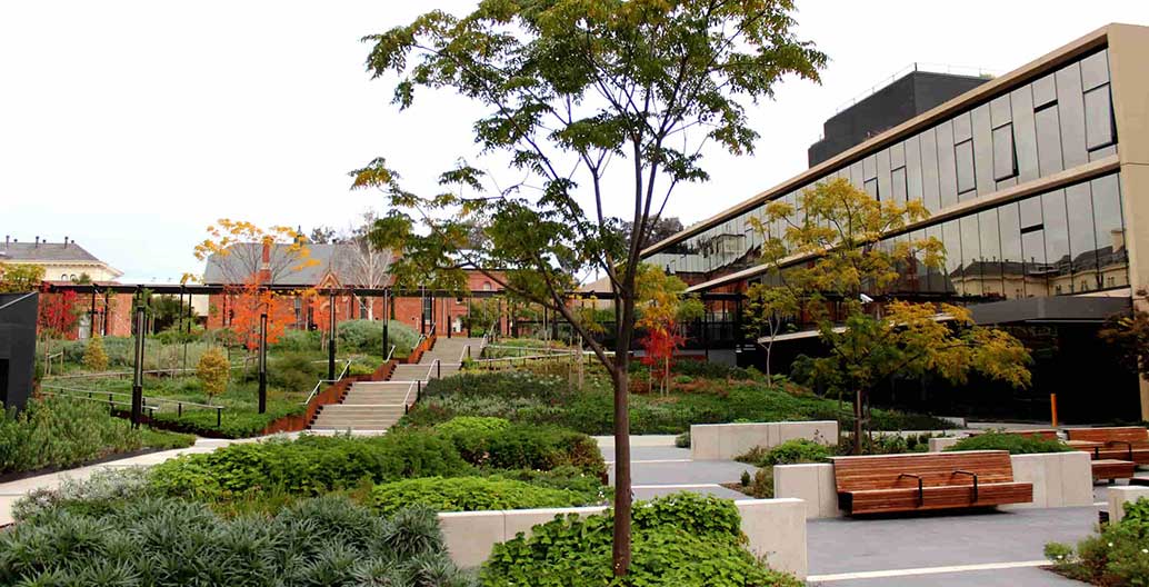 Sweeping terraced garden beds feature the textures of low-growing species.