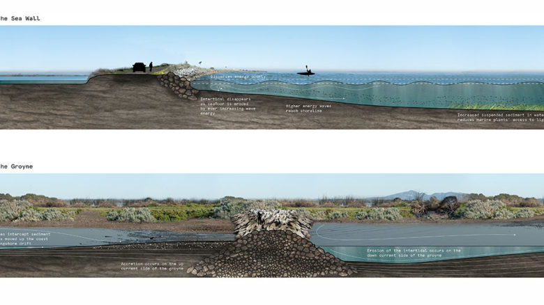 Section showing the complex water management and grading of the Western Treatment Plant. Image: Watkin McLennan