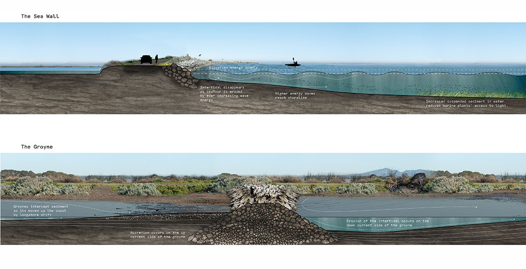 Section showing the complex water management and grading of the Western Treatment Plant. Image: Watkin McLennan