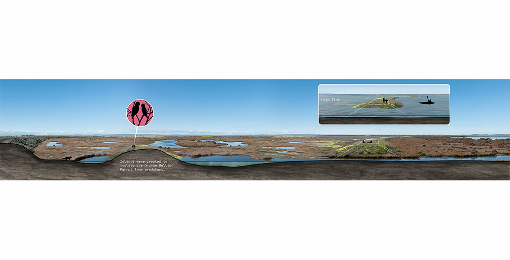 Section showing mounds designed for the critically endangered Orange-bellied Parrots. Image: Watkin McLennan