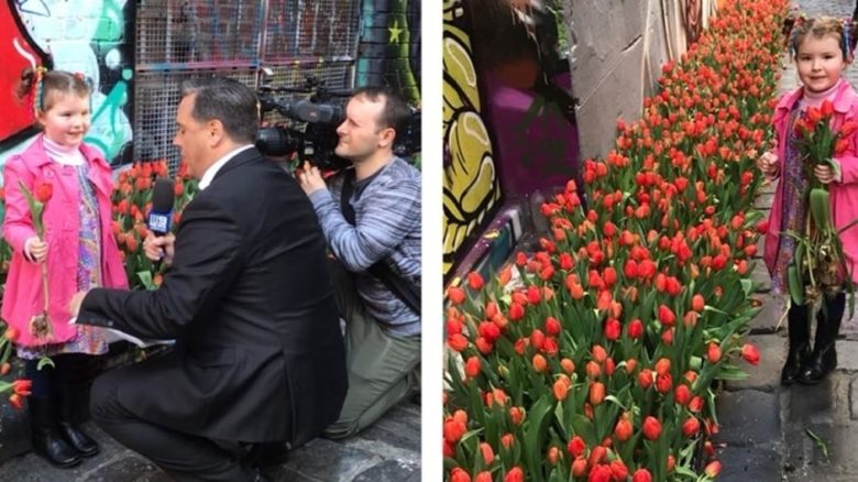 Tulips in Hosier Lane, Melbourne, carried a message about waste and unlabelled imported flowers. Photos: Kate White