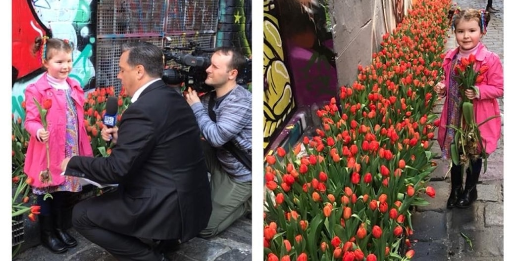 Tulips in Hosier Lane, Melbourne, carried a message about waste and unlabelled imported flowers. Photos: Kate White
