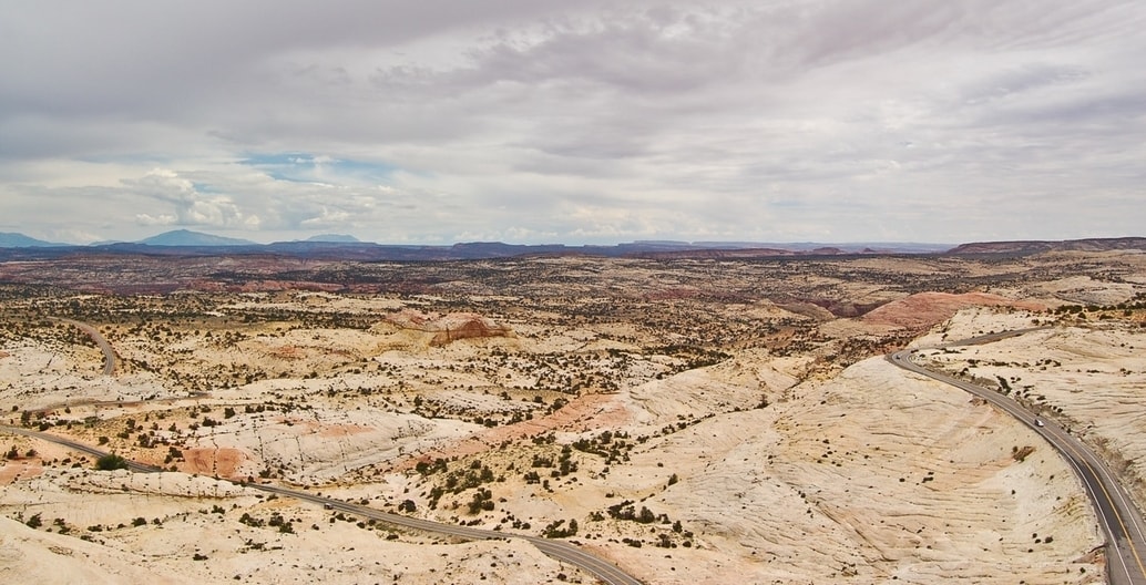Few human cultures have taken hold in wholly treeless environments. Are cultures weakened when they lose trees?