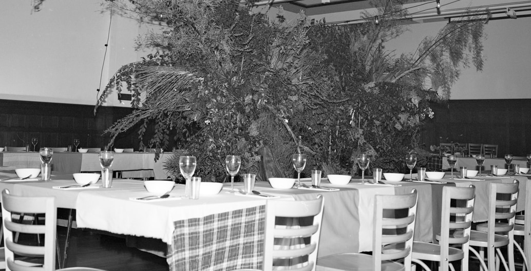 Tasting communicates too. The symposium dinner surrounds a lush plant installation by Cecilia Fox. Photo: Molonglo