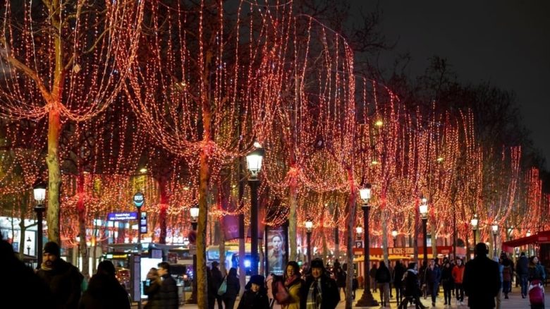 The trees of the Champs Elysee are a sophisticated night-time spectacle and lighting source.