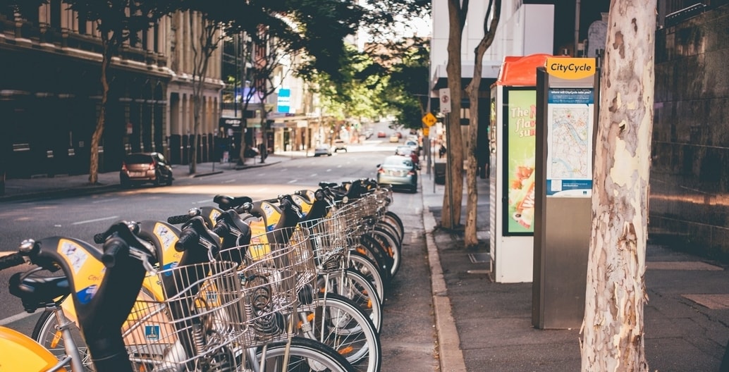 Brisbane street trees include many thriving native species, sharing space with new transport options.