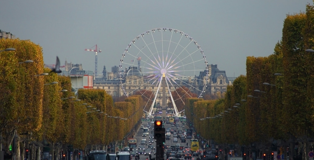 Paris iconic Champs Elysee is lined with sculpted trees, pleached by expert maintenance crews. Photo: Pascal Bernardon