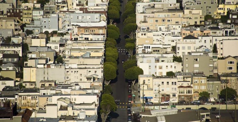 The multi-functional role of street trees as living city infrastructure is growing in importance. How can they benefit from smart technologies?