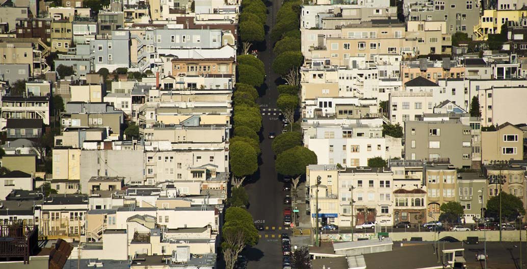 The multi-functional role of street trees as living city infrastructure is growing in importance. How can they benefit from smart technologies?