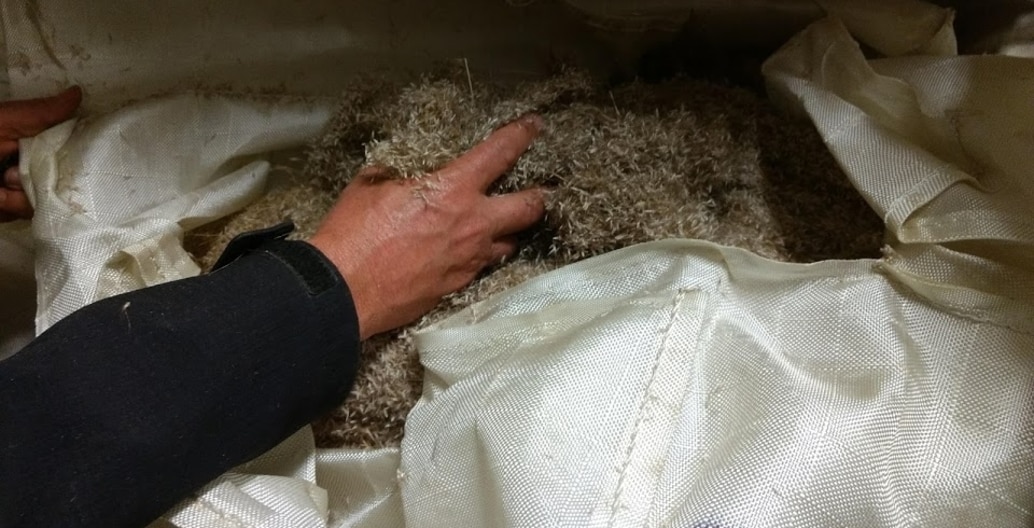 Chris Findlay with harvested native grass seed carefully labelled in temperature-controlled storage.