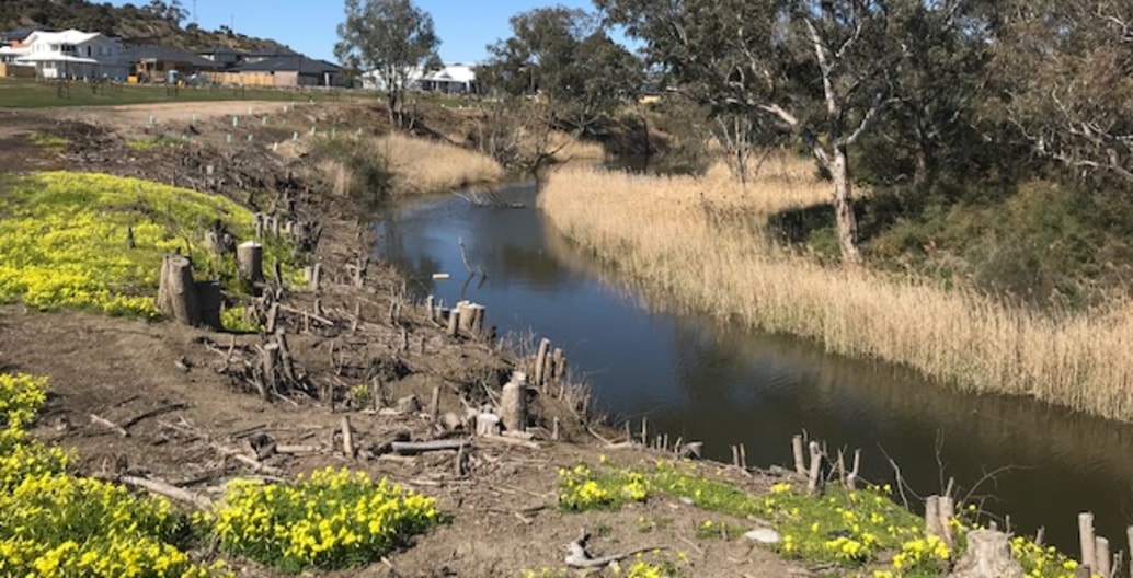 Early weed eradication on residential estate Gen Fyansford, near Geelong by Tract preparing for indigenous planting. Photo: Tract